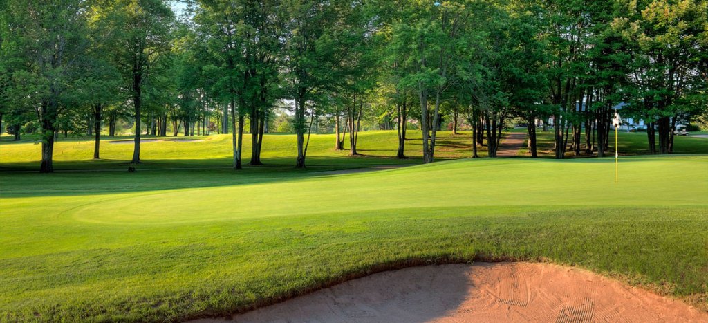 golf course with trees