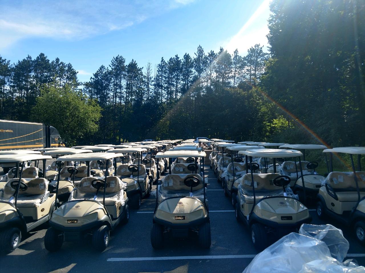 rows of golf carts